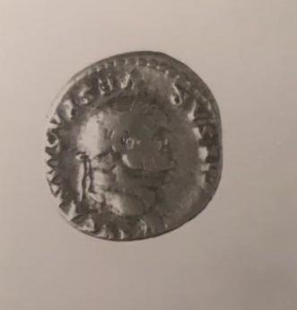 Primera imagen del registro DENARIO