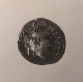 Primera imagen del registro DENARIO
