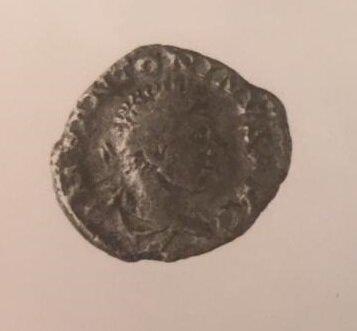 Primera imagen del registro DENARIO