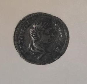 Primera imagen del registro DENARIO