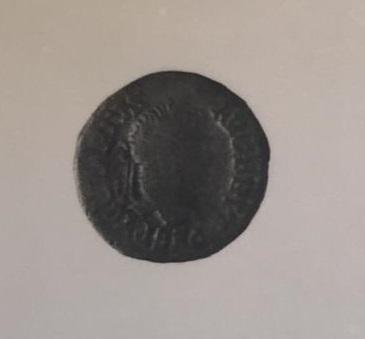 Primera imagen del registro DENARIO
