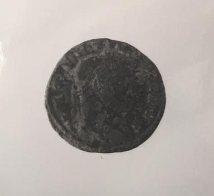 Primera imagen del registro FOLLIS