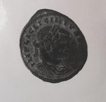Primera imagen del registro 1/2 FOLLIS