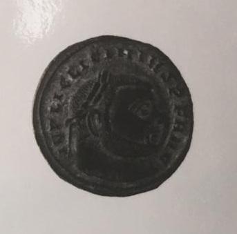 Primera imagen del registro 1/2 FOLLIS