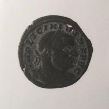Primera imagen del registro 1/2 FOLLIS