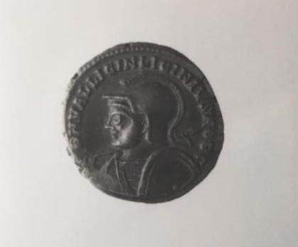 Primera imagen del registro 1/2 FOLLIS