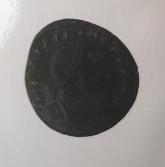 Primera imagen del registro 1/2 FOLLIS