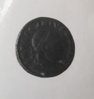 Primera imagen del registro 1/2 FOLLIS