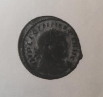 Primera imagen del registro 1/2 FOLLIS