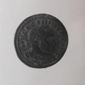 Primera imagen del registro 1/2 FOLLIS
