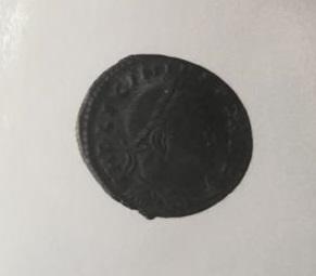 Primera imagen del registro 1/2 FOLLIS