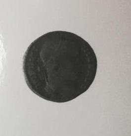 Primera imagen del registro 1/4 FOLLIS