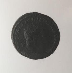 Primera imagen del registro 1/4 FOLLIS