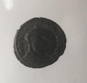 Primera imagen del registro 1/2 FOLLIS