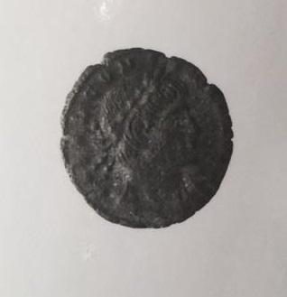 Primera imagen del registro 1/2 FOLLIS