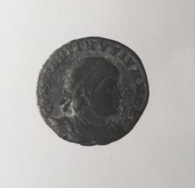 Primera imagen del registro 1/2 FOLLIS