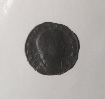 Primera imagen del registro 1/2 FOLLIS