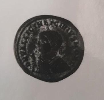 Primera imagen del registro 1/2 FOLLIS
