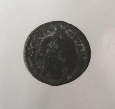 Primera imagen del registro 1/2 FOLLIS