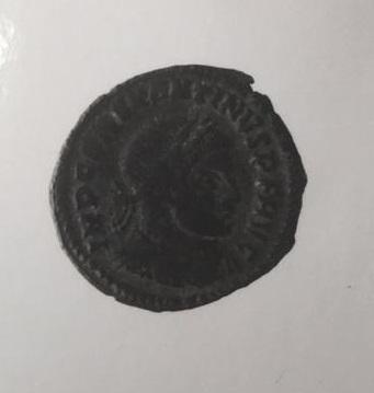 Primera imagen del registro DENARIO