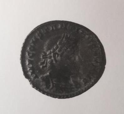 Primera imagen del registro FOLLIS