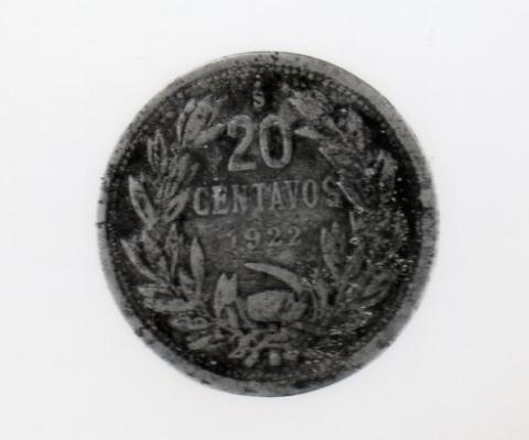 Primera imagen del registro Chaucha