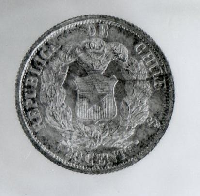 Primera imagen del registro Chaucha