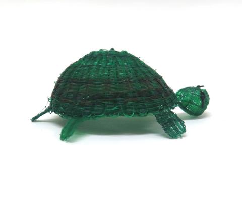 Primera imagen del registro Tortuga