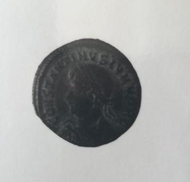 Primera imagen del registro FOLLIS