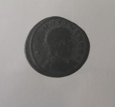 Primera imagen del registro 1/2 FOLLIS