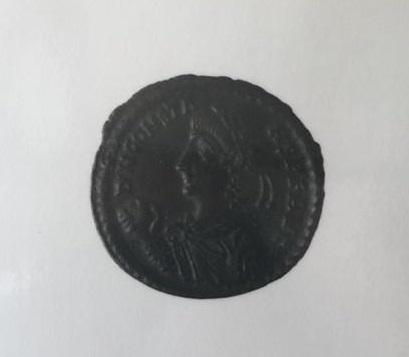 Primera imagen del registro CONTENIONALIS