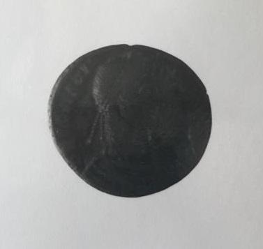 Primera imagen del registro CONTENIONALIS