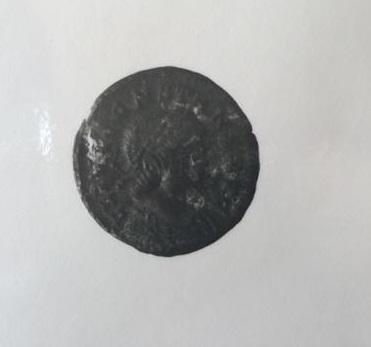 Primera imagen del registro 1/4 CENTENIONALIS