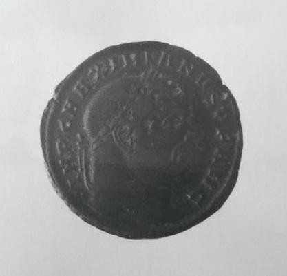 Primera imagen del registro FOLLIS