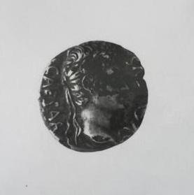 Primera imagen del registro DENARIO