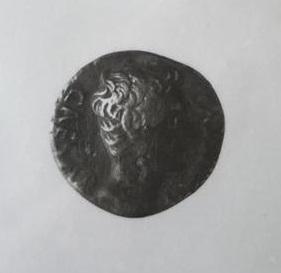 Primera imagen del registro DENARIO