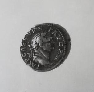 Primera imagen del registro DENARIO