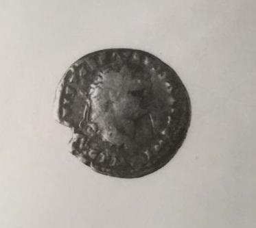 Primera imagen del registro DENARIO