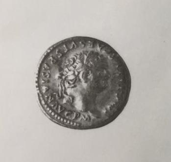 Primera imagen del registro DENARIO