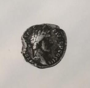 Primera imagen del registro DENARIO