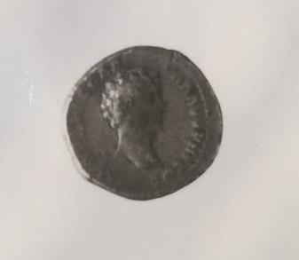Primera imagen del registro DENARIO