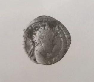 Primera imagen del registro DENARIO