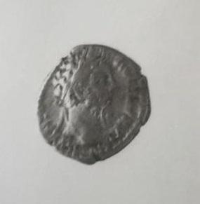 Primera imagen del registro DENARIO