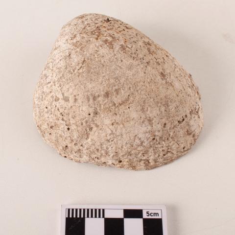 Primera imagen del registro Artefacto