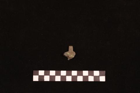 Primera imagen del registro Pinza