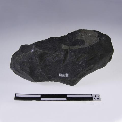 Primera imagen del registro Martillo