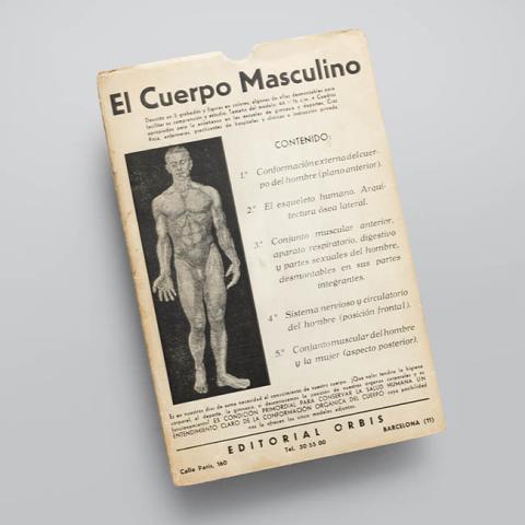 Primera imagen del registro El cuerpo masculino