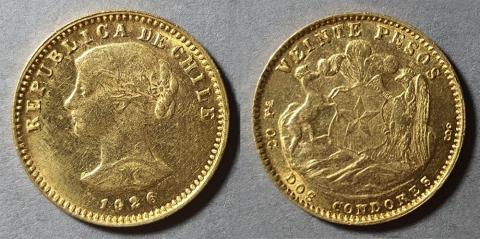 Primera imagen del registro Moneda de 20 Pesos (República)