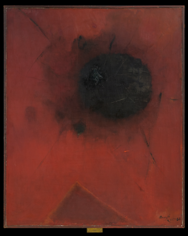 Primera imagen del registro Sol negro