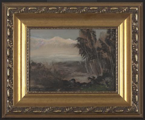Primera imagen del registro Paisaje